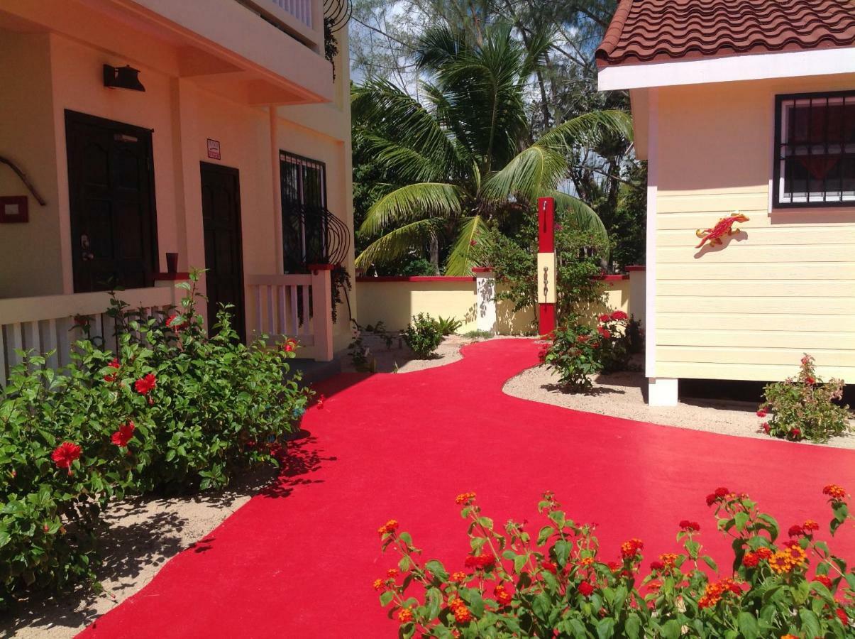 The White Horse Inn - Hopkins Village Beach Belize 外观 照片